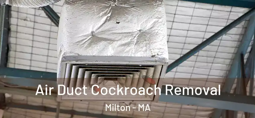 Air Duct Cockroach Removal Milton - MA