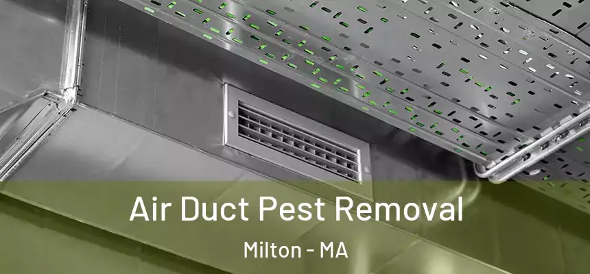  Air Duct Pest Removal Milton - MA