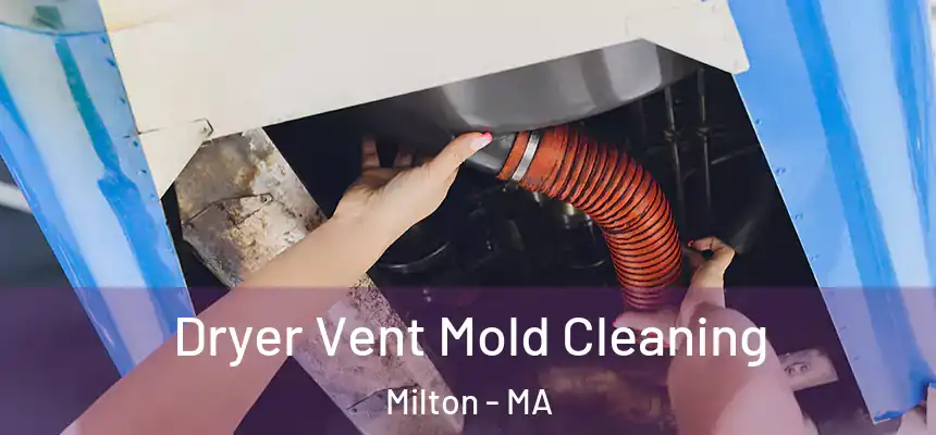  Dryer Vent Mold Cleaning Milton - MA