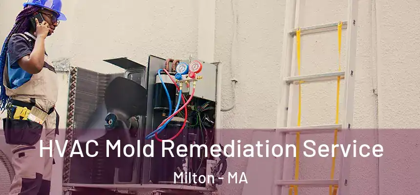  HVAC Mold Remediation Service Milton - MA