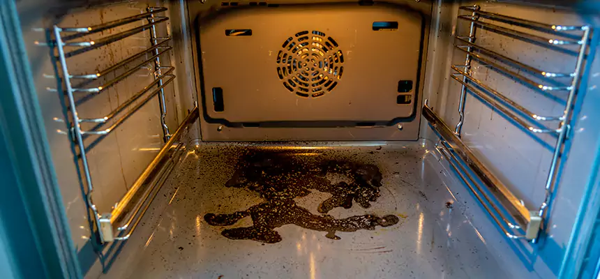 Our Dryer Vent Mold Cleaning Services in Milton, MA