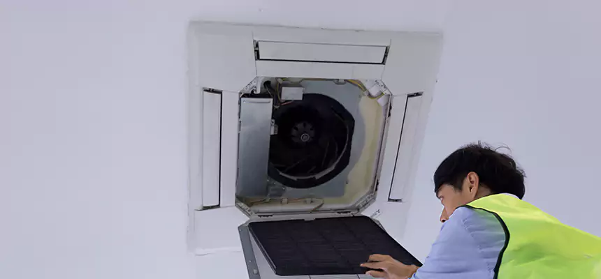 Our Dryer Vent Sanitization Service Services in Milton, MA
