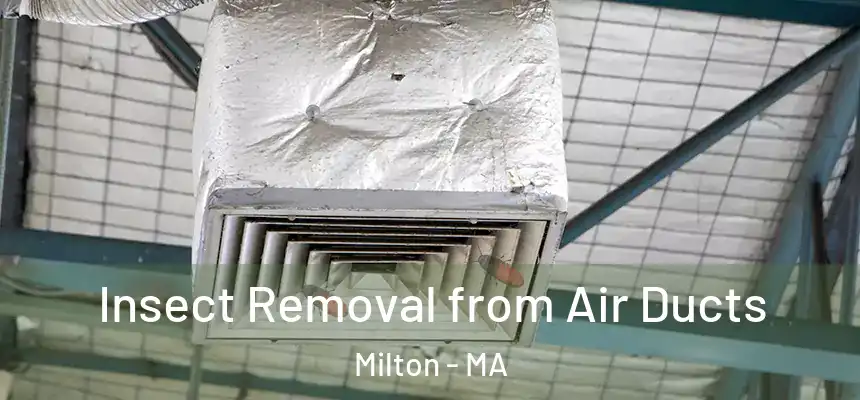 Insect Removal from Air Ducts Milton - MA