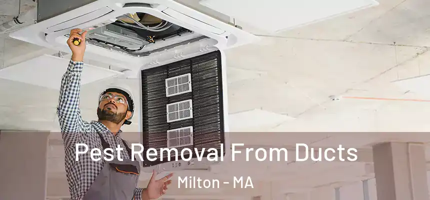 Pest Removal From Ducts Milton - MA