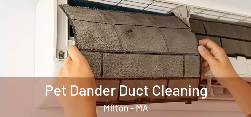 Pet Dander Duct Cleaning Milton - MA