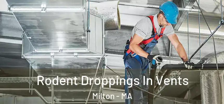 Rodent Droppings In Vents Milton - MA