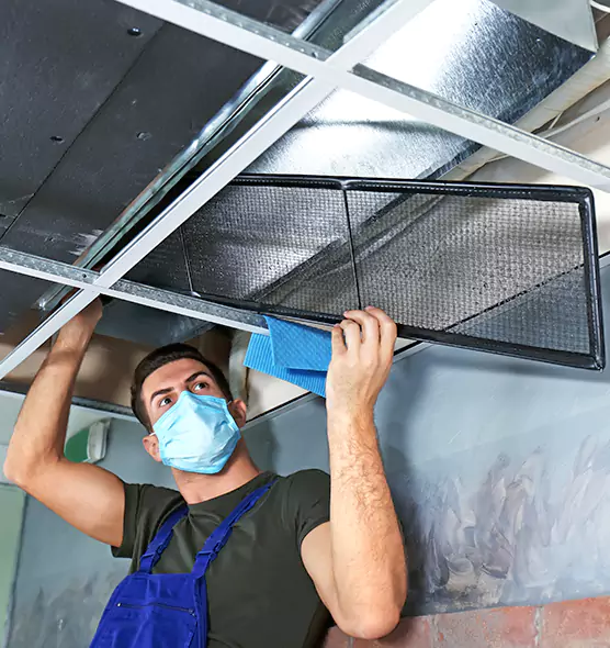 About Air Duct Bacteria Removal in Milton