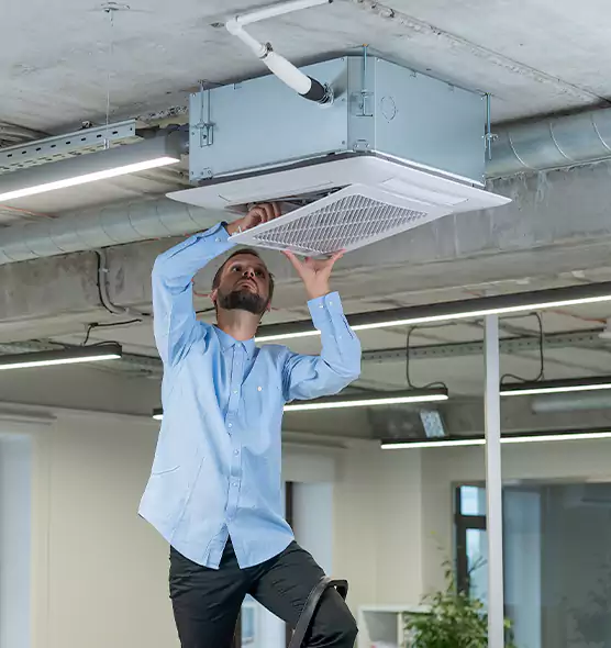 Advanced Rodent Droppings In Vents in Milton, MA