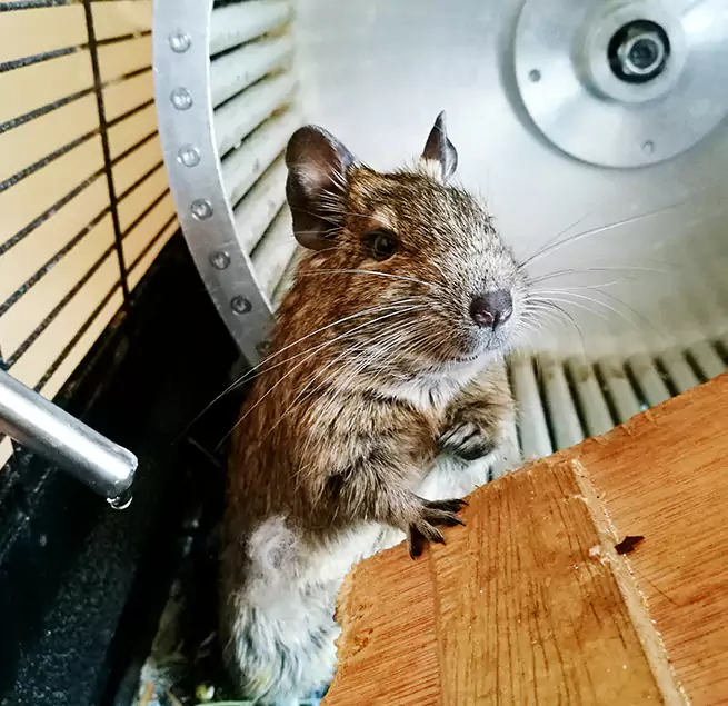 Why Homeowners & Businesses Trust Us Milton, MA