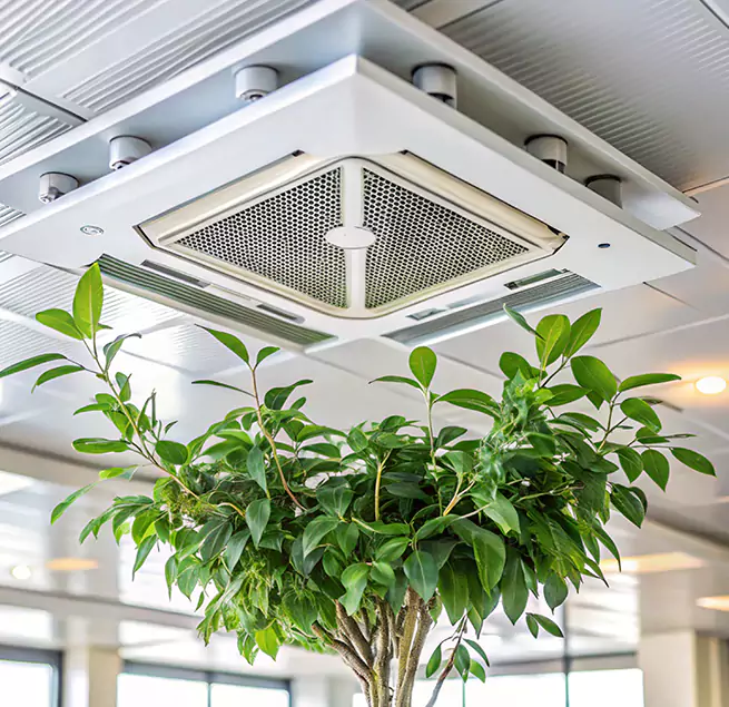 Why Homeowners & Businesses Trust Us in Milton, MA?