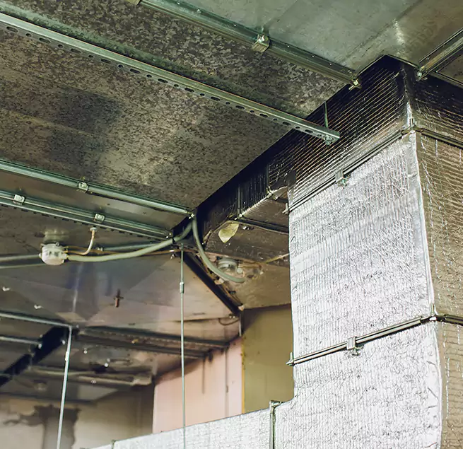 Why Homeowners & Businesses Trust Us in Milton, MA?